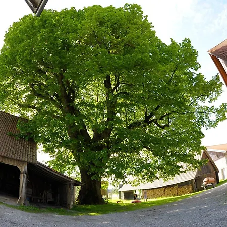 Hof Zuernens Oase Campsite